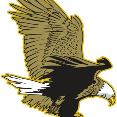 AR10 EAGLE 01 RQC Thumbnail